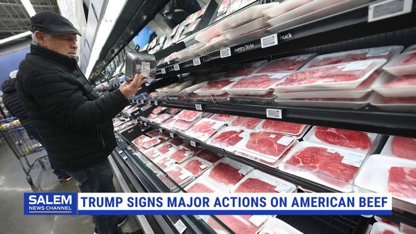 Trump Signs Orders To Allow Ranchers To Protect Herds From Wolves, Expand Meat Processing