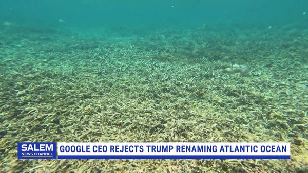 Google CEO Rejects Trump's Proposal To Rename Atlantic Ocean