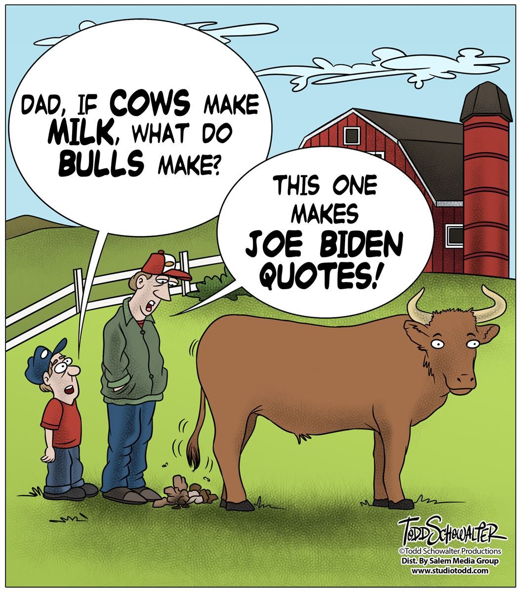 : Conservative Cartoons by Todd Schowalter 