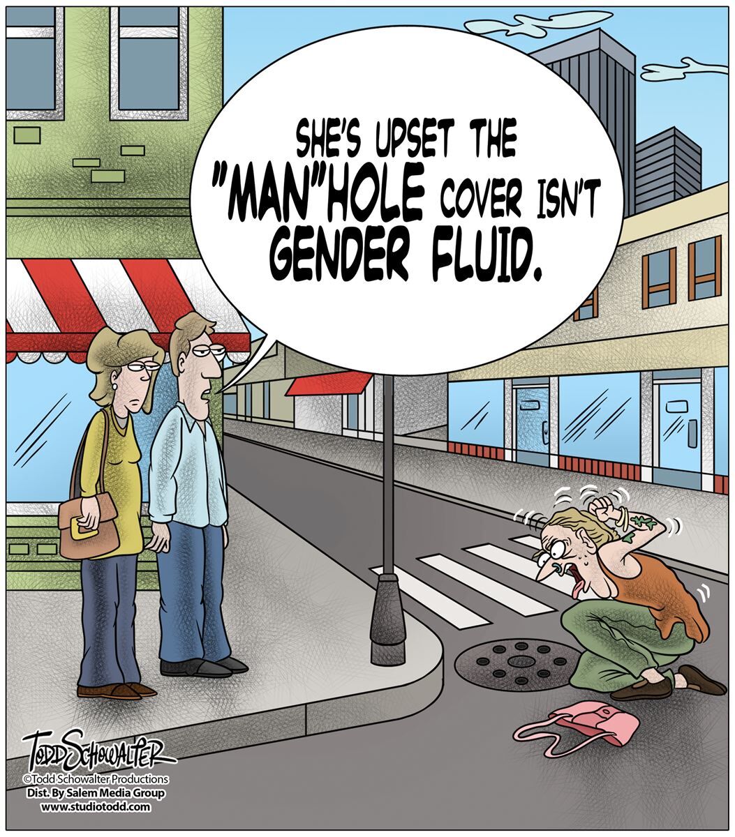 : Conservative Cartoons by Todd Schowalter 