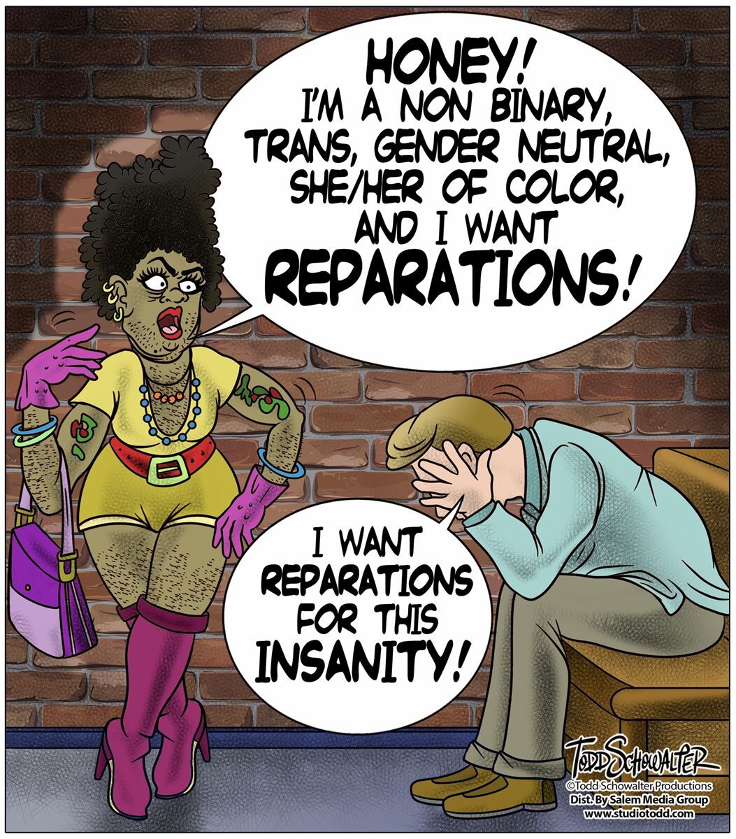Conservative Cartoons by Todd Schowalter 
