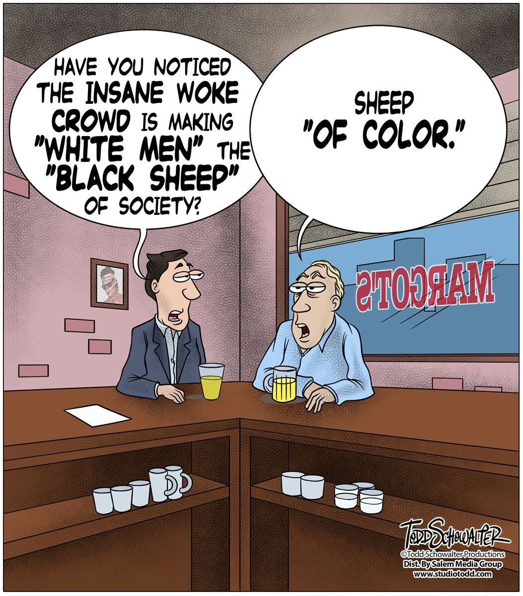 Conservative Cartoons by Todd Schowalter 