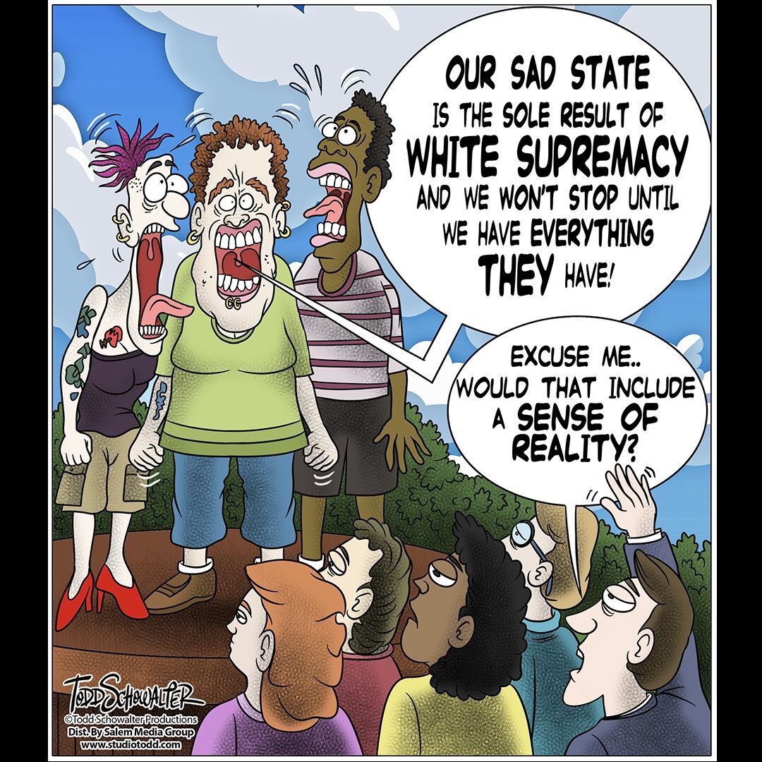 Conservative Cartoons by Todd Schowalter 