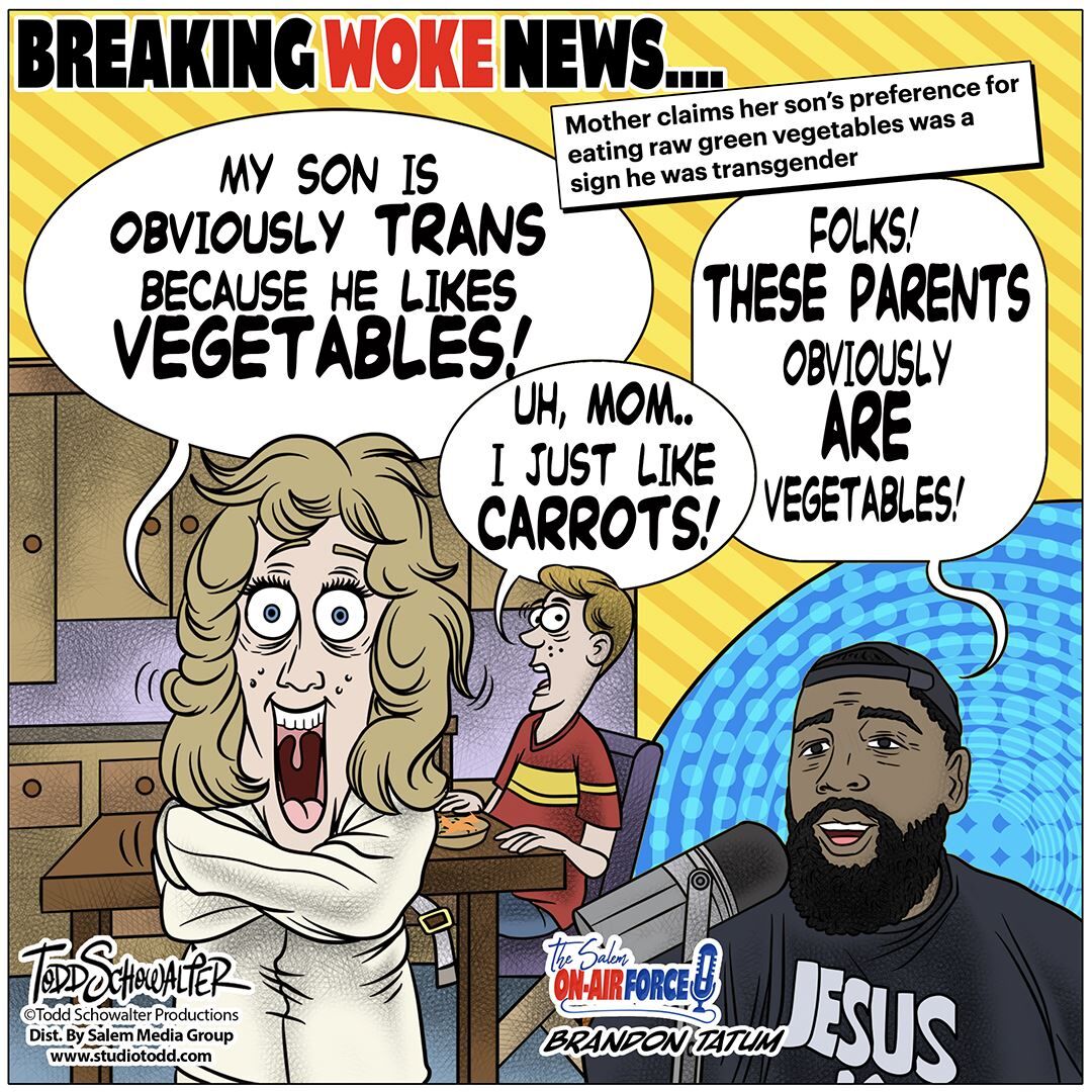 Conservative Cartoons by Todd Schowalter 