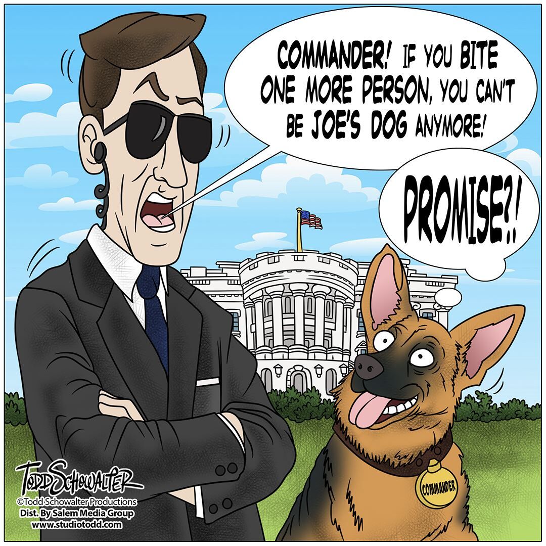 Conservative Cartoons by Todd Schowalter 