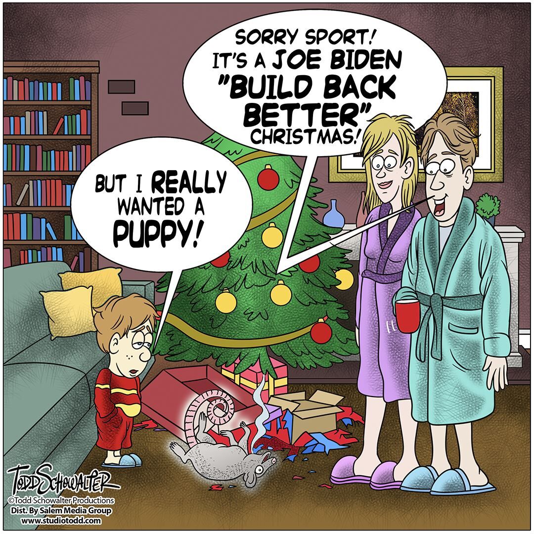 Conservative Cartoons by Todd Schowalter 