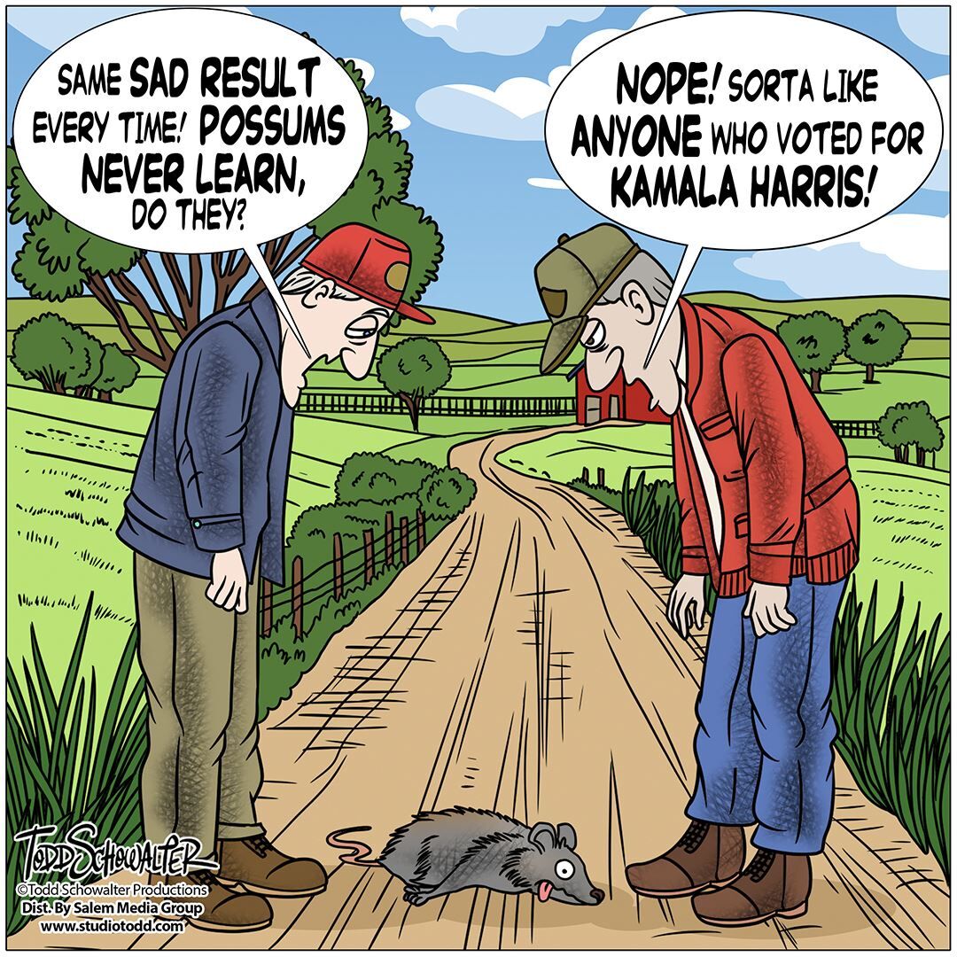 Conservative Cartoons by Todd Schowalter 