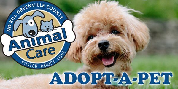Greenville County Animal Care: Adoptable Pets