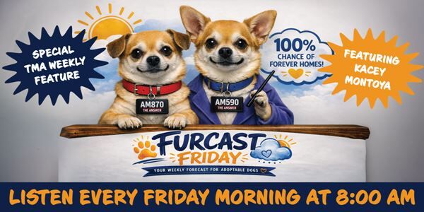 TMA - Friday Mornings at 8:00 am