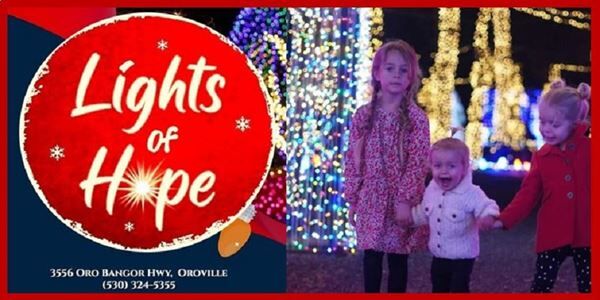 Lights of Hope (12/1-23)