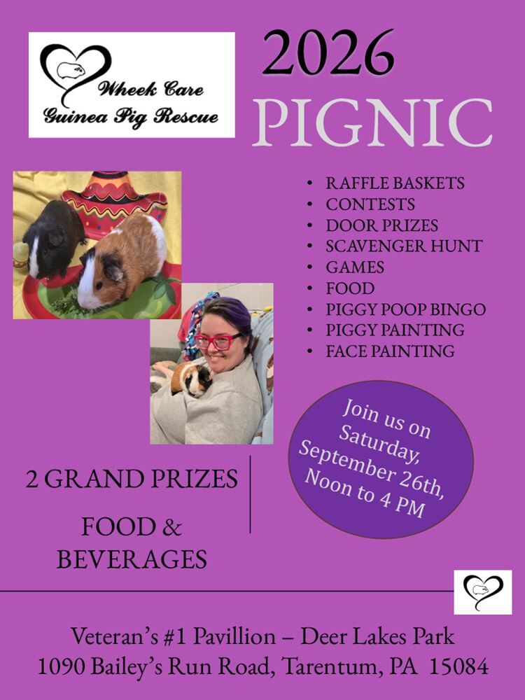 2026 Annual Wheek Care Guinea Pig Rescue Pignic