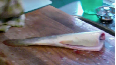 MUST WATCH: Is the Fish really Dead? 