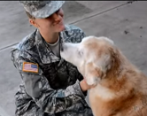 A Soldier's Dog Cries As She Welcomes Home Her Master 