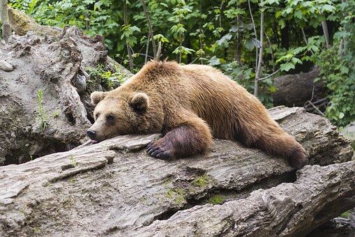 The Lazy Way To Transform Your Life
