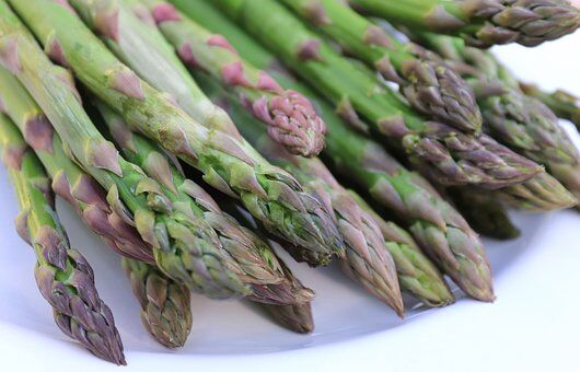 Study: Asparagus Can Help With Hangovers