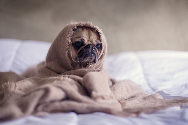 Experts Reveal How To Stop Revenge Bedtime Procrastination