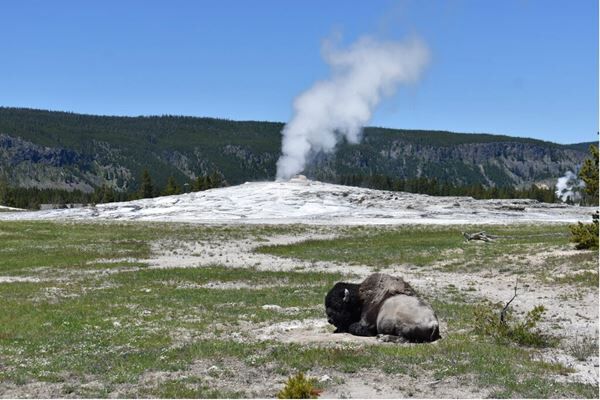 Parts Of Yellowstone Set To Reopen