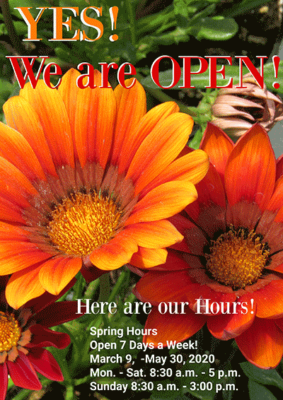 STEGALL'S NURSERY & PLANT FARM