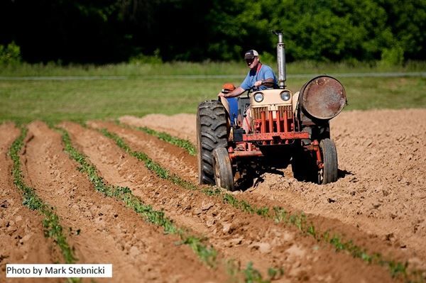 Shortage of young farmers could impact the Carolinas' economy and way of life