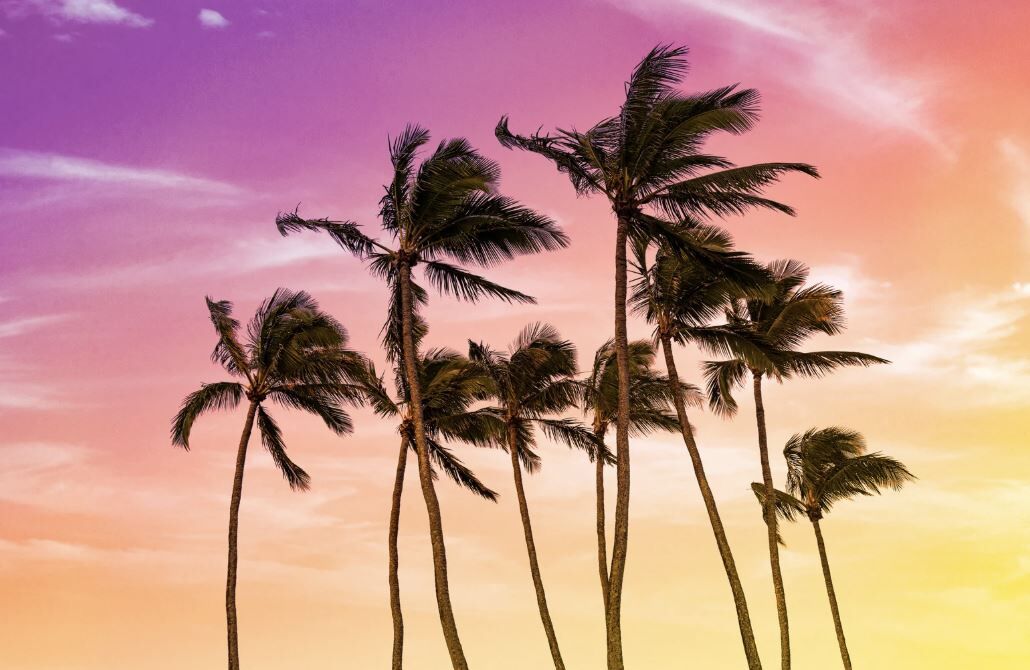 digital marketing agency in Hawaii