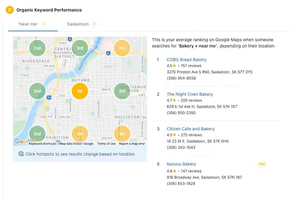 Organic Keyword Performance