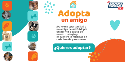Adopta a un amigo