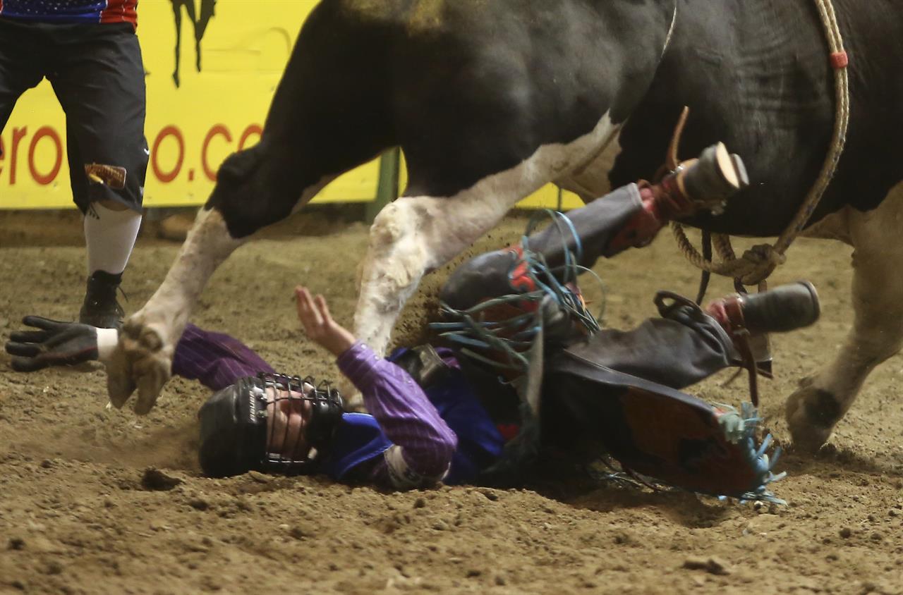 Australian bull rider severely injured at college rodeo AM 920 The