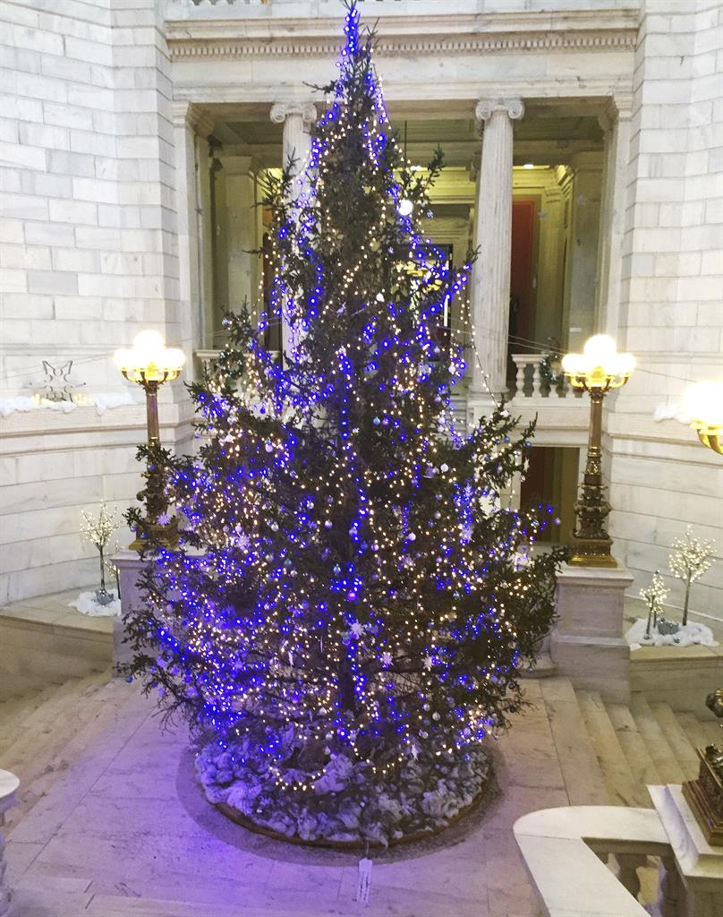 dead dried up christmas tree to be replaced at statehouse houston tx christmas tree houston