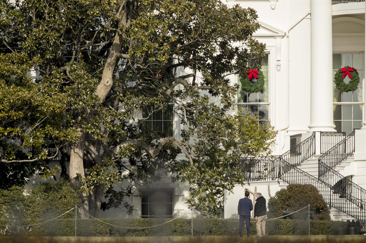 Historic White House Magnolia Cut Back For Safety Reasons The Answer San Diego Fm 96 1 Am 1170 San Diego Ca