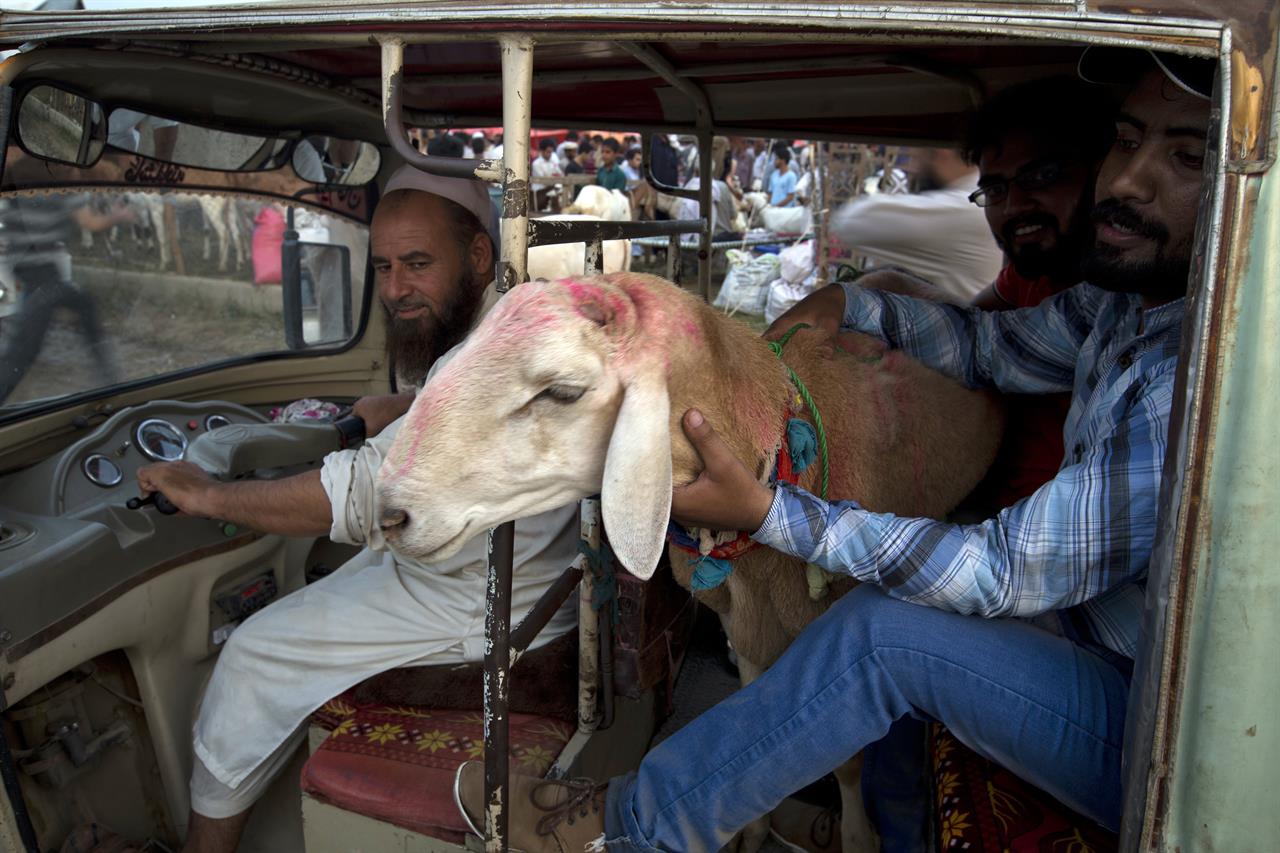 Muslims celebrate Eid al-Adha as pilgrims conduct hajj 
