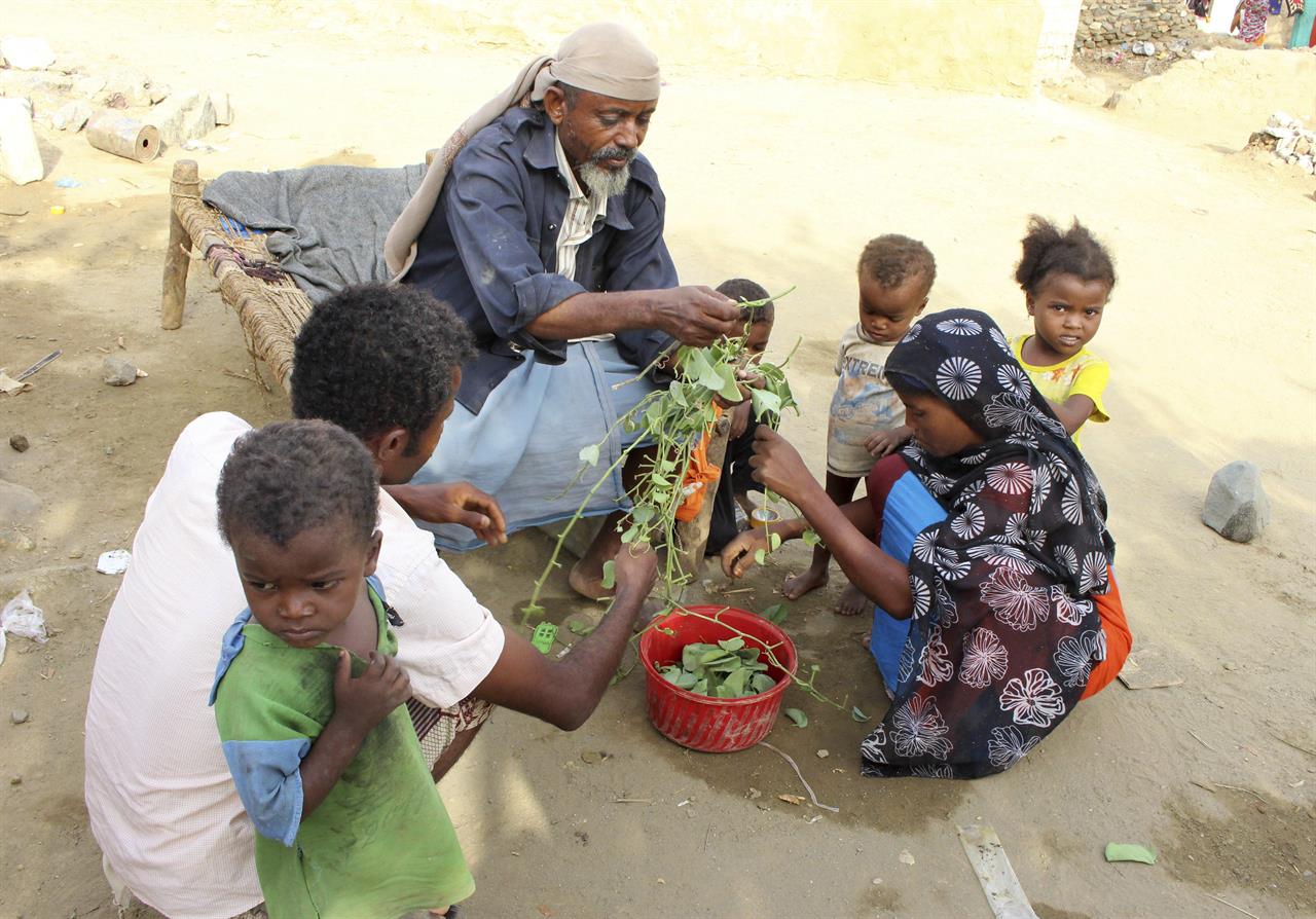 Isolated and unseen, Yemenis eat leaves to stave off famine