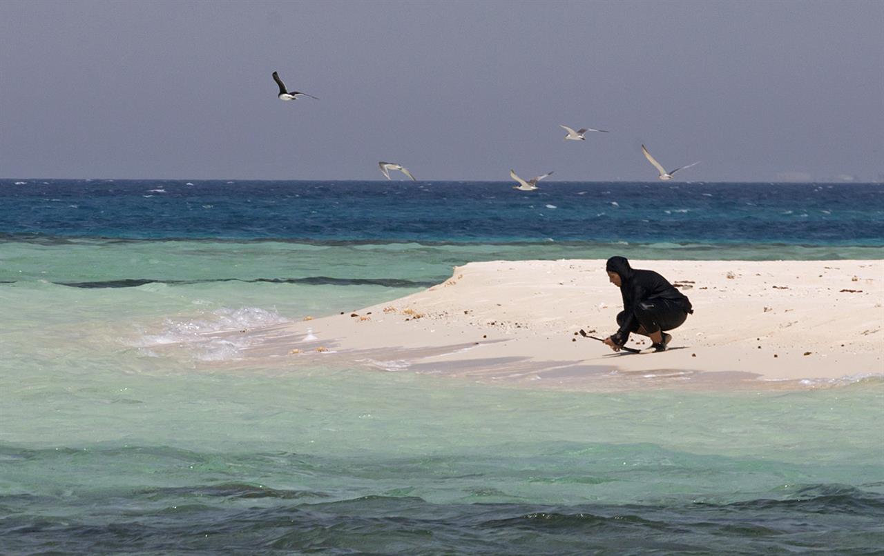 saudi-arabia-s-red-sea-divers-explore-freedoms-off-the-coast-seattle-wa