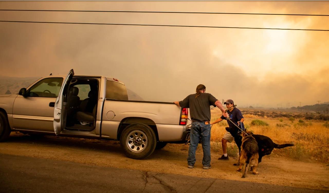 Patty Galbraith with her father-in-law James Galbraith Sr., evacuate their dogs as the family gets ready to leave their home near Longview Road as the Bobcat fire approaches in Juniper Hills, Calif., on Friday, Sept. 18, 2020. (Sarah Reingewirtz/The Orange County Register via AP)
Homes burned as winds push California fire into desert floor