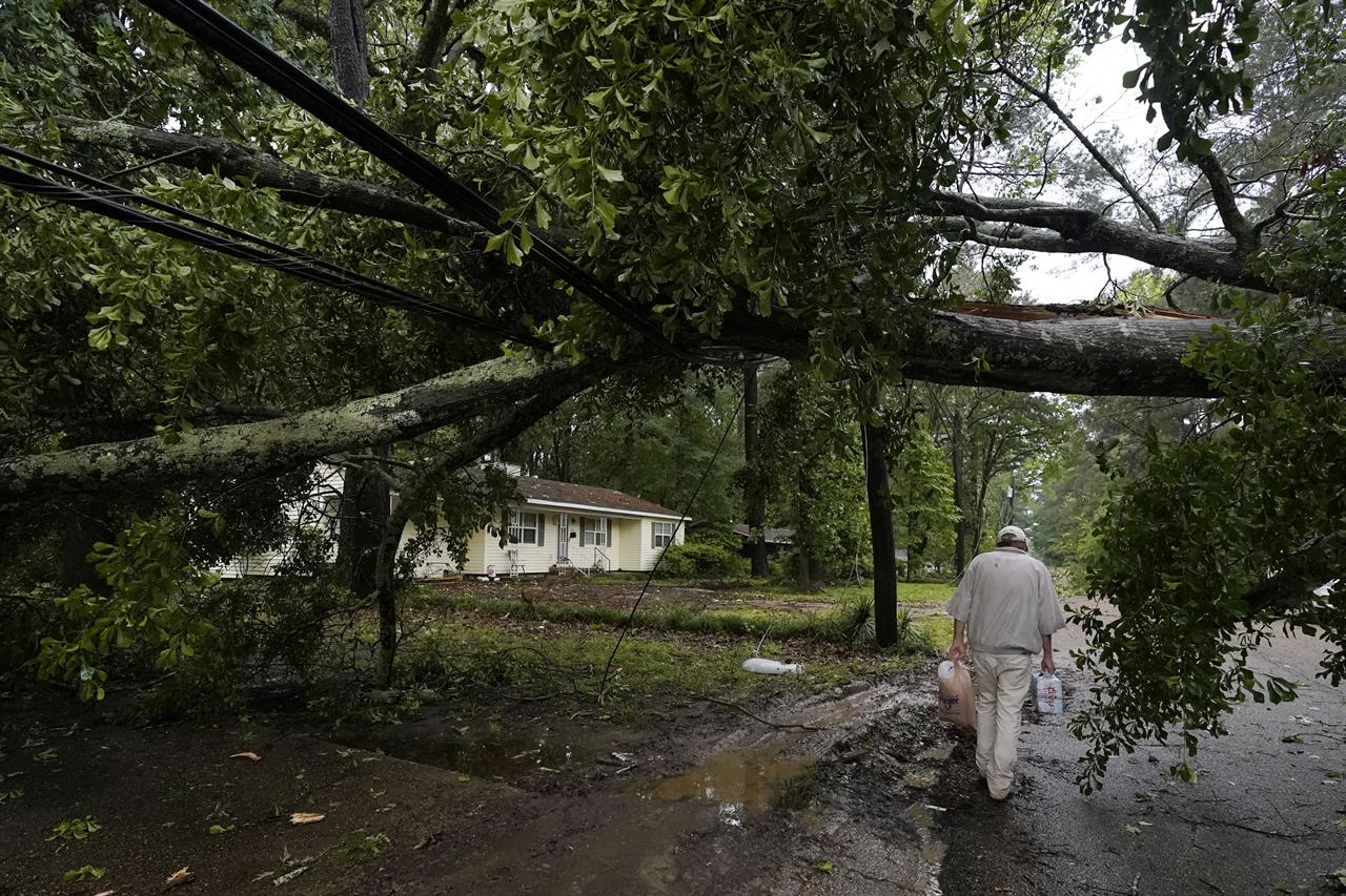 A northeast Jackson, Miss., resident walks past a wind toppled tree in his neighborhood, Tuesday afternoon, May 4, 2021. The severe weather was not unexpected, since the state was hit with a number of tornadoes on Sunday. (AP Photo/Rogelio V. Solis)