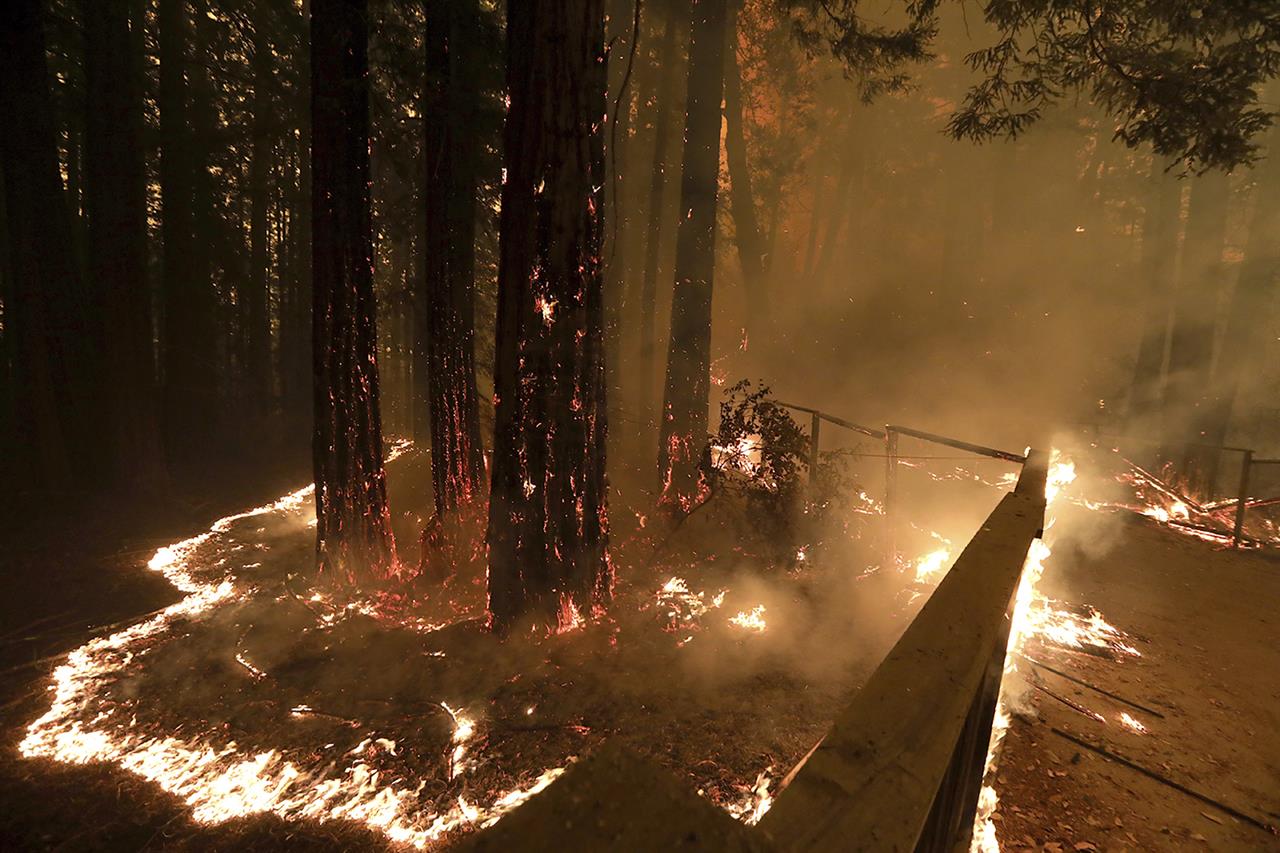 FILE - In this Aug. 20, 2020, file photo The CZU August Lightning Complex fire consumes trees and a fence along Empire Grade Road in the Santa Cruz Mountains community of Bonny Doon near Santa Cruz, Calif. Months-old embers from a deadly California fire were blown back to life Tuesday, Jan. 19, 2021, by powerful winds that raked the state and prompted safety blackouts to tens of thousands of people. The state's firefighting agency says Tuesday it has responded to at least a dozen vegetation fires in San Mateo and Santa Cruz counties in 12 hours. (Shmuel Thler/The Santa Cruz Sentinel via AP, File)