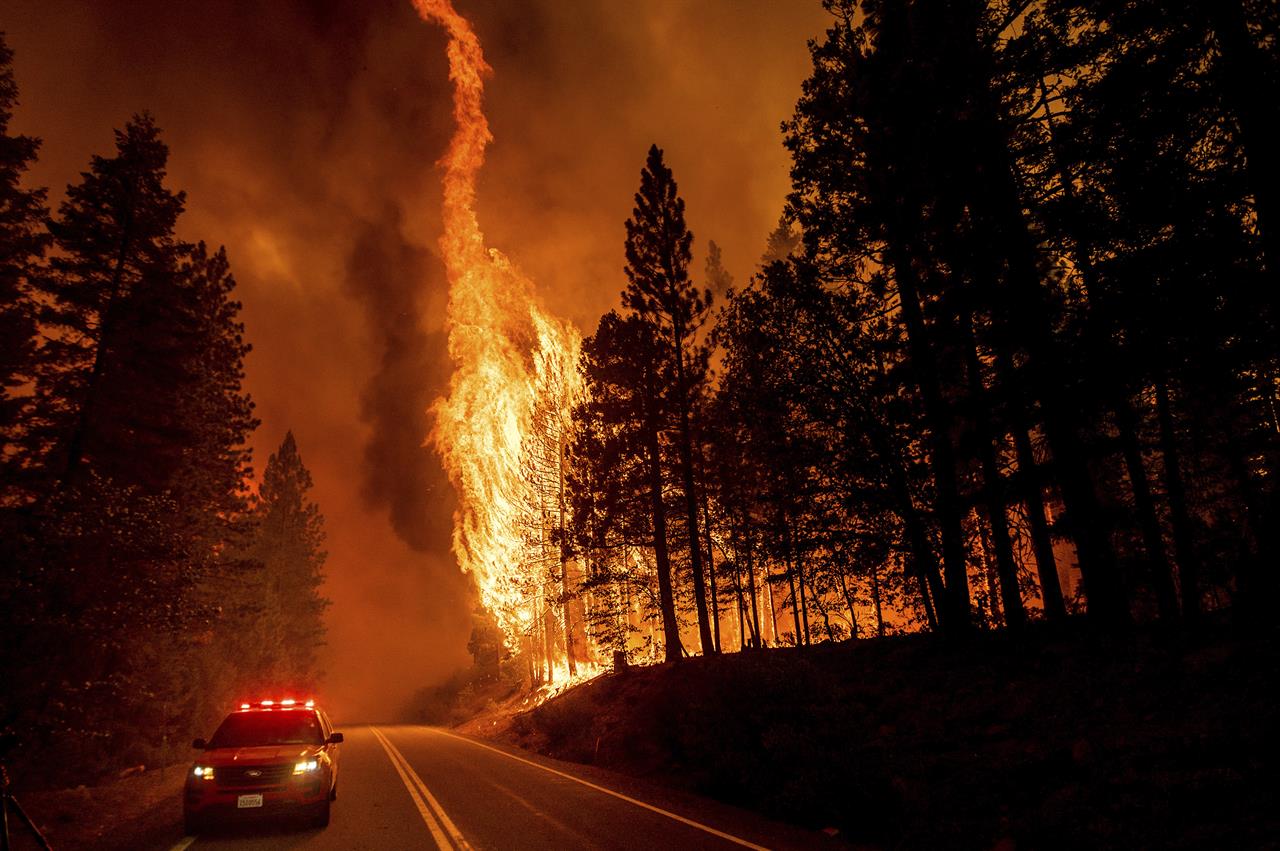 Flames leap from trees as the Dixie Fire jumps Highway 89 north of Greenville in Plumas County, Calif., on Tuesday, Aug. 3, 2021. Dry and windy conditions have led to increased fire activity as firefighters battle the blaze which ignited July 14. (AP Photo/Noah Berger)