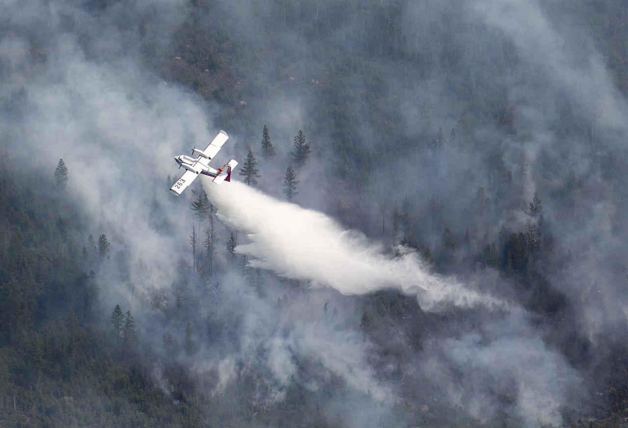 Minnesota wildfire jumps highway, triggers more evacuations - Vimarsana News