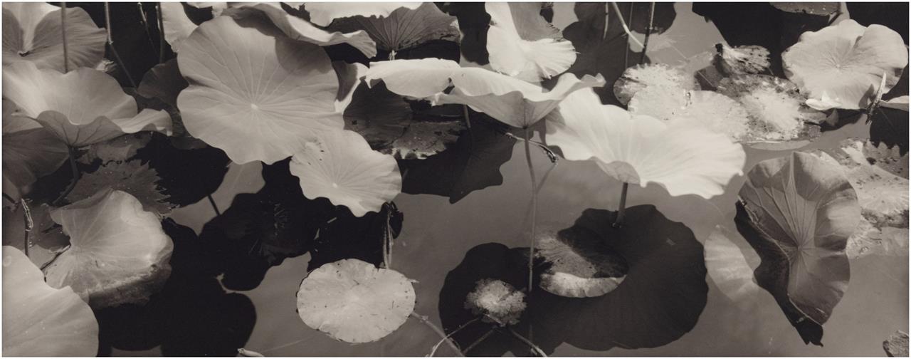 This photo provided by the New Orleans Museum of Art shows "Peking University, Beijing, China," 1991, by Lois Conner. The print is a gift from Cherye R. and James F. Pierce to the museum. (Courtesy of New Orleans Museum of Art via AP)