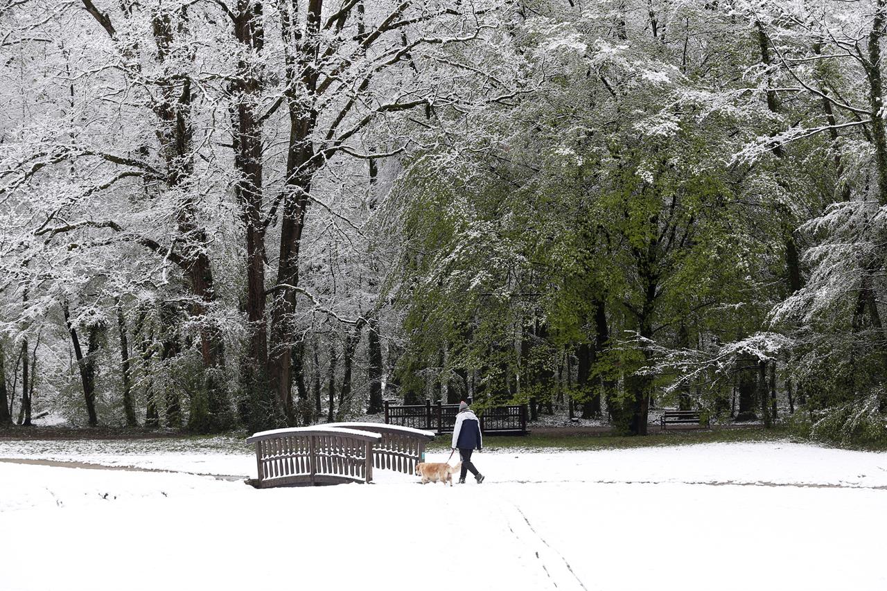 A person walks a dog in a park after a snowfall in Zagreb, Croatia, Tuesday, April 6, 2021. (AP Photo/Darko Bandic)