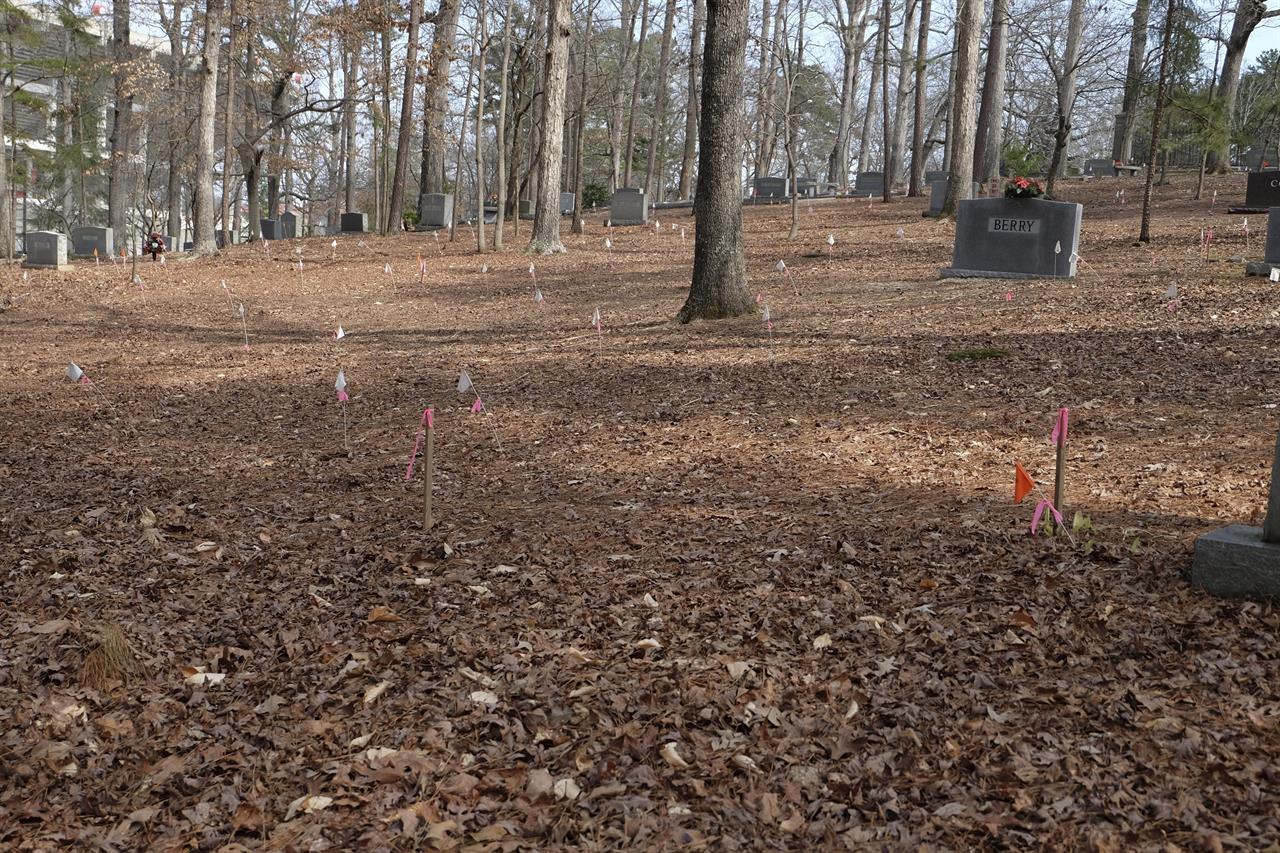 White and pink flags at Woodland Cemetery in Clemson, S.C. on Sunday, Feb. 28, 2021 show the locations of previously unmarked graves likely belonging to slaves, sharecroppers and convicted laborers in the university's history. Students at Clemson University who found an unkempt graveyard on campus last year sparked the discovery of more than 600 unmarked graves most likely belonging to enslaved Black people, sharecroppers and convicted laborers. The revelation has Clemson working to identify the dead and properly honor them amid a national reckoning by universities about their legacies of racial injustice. (AP Photo/Michelle Liu)