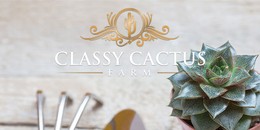 Classy Cactus Houseplant Workshop Giveaway!